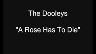 The Dooleys  A Rose Has To Die HQ Audio [upl. by Akehs572]