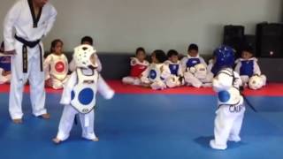 EPIC Taekwondo battle 3 year old kids SO CUTE [upl. by Thorley]