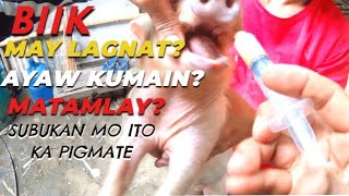 MABISANG GAMOT PARA SA MAY LAGNATMATAMLAY AT AYAW KUMAIN NA BIIK  ISANG ARAW LANG GALING AGAD [upl. by Nilahs]