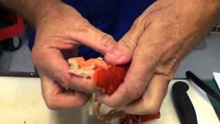 How to Prep and Cook Pre Cooked Lobster [upl. by Neelhtak2]