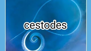 L3 para  cestodes 🪱 [upl. by Isobel]