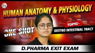 GASTRO INTESTINAL TRACT  ONE SHOT  HUMAN ANATOMY amp PHYSIOLOGY  DPharma hap oneshot exitexam [upl. by Machutte410]