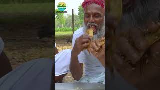 EATING Bighead Carp Fish Curry villagegrandpacooking fishcurry villagelife villagevlog eating [upl. by Aneej]