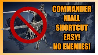 COMMANDER NIALL SHORTCUT  DIABETORs Quick Tips  Elden Ring Guide [upl. by Crosse]