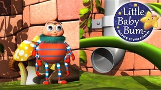 Incy Wincy Spider  LittleBabyBum  Nursery Rhymes for Babies ABCs and 123s  LBB [upl. by Eram]