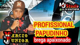 PROFISSIONAL PAPUDINHO [upl. by Anirtap]