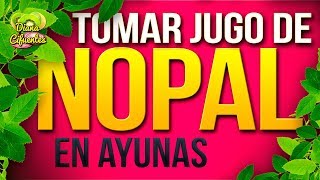 5 Beneficios Del Jugo De Nopal Como Se Prepara El Jugo De Nopal Licuado De Nopal En Ayunas [upl. by Klinger]