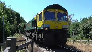 Freightliner 66504 climbing clicketts hill from port of felixstowe 14718 [upl. by Baese]