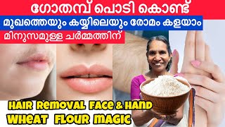 ഗോതമ്പ് പൊടി കൊണ്ട് മുഖത്തെയും കയ്യിലെയും രോമം കളയാം മിനുസമുള്ള മുഖമാവും ഞെട്ടിക്കുന്ന മാറ്റം തന്നെ [upl. by Clarey]