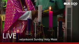 velankanni live mass today  velankanni live [upl. by Rdnaskela]