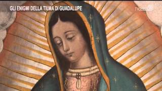 Guadalupe gli enigmi della Tilma [upl. by Bodrogi]