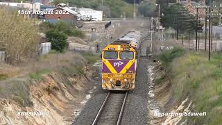 N class at Stawell first time in over 27 years with N460 [upl. by Curran]