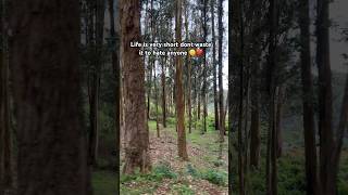 ooty tour shortsfeed mprinky yt [upl. by Cohbath]