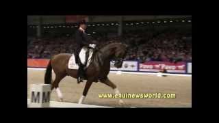 KWPN Stallion Vivaldi and Dutch rider Hans Peter Minderhoud [upl. by Eatnuahs627]