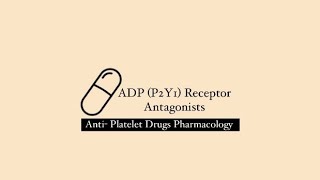 Platelet ADP P2Y1 Receptor Antagonists  Anti Platelet Drugs Pharmacology [upl. by Yeca]