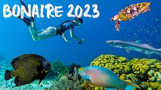 Our Caribbean Adventure Snorkeling and Exploring Bonaire 2023 [upl. by Lebazi]