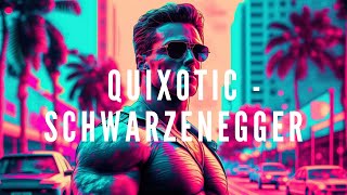 Quixotic  Schwarzenegger Synthwave [upl. by Glaser]