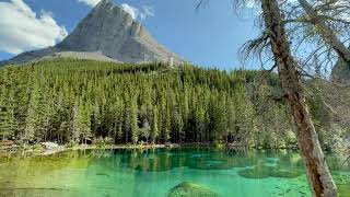 Kananaskis  Wilderness Within  4K UltraHD [upl. by Yrreb]