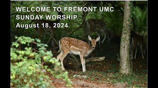 Fremont UMC Live Stream [upl. by Aisinoid]