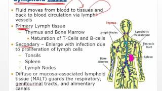 Chapter 11 Video Disorders of Leukocytes [upl. by Obediah]