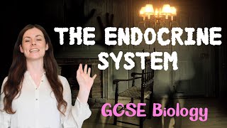 THE ENDOCRINE SYSTEM GCSE Biology 91  Combined Sci Revision amp Qs [upl. by Daraj]