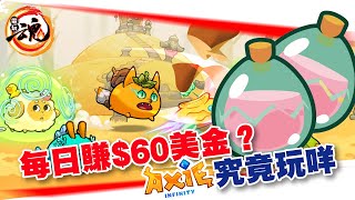 【NFTGameFi遊戲】日賺60美金？究竟Axie Infinity係玩D咩！仲有無錢賺？ [upl. by Reviere740]