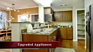 Altessa Apartments Las Vegas  Community Commercial [upl. by Streeter881]