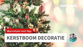 Hoe versier ik mijn kerstboom [upl. by Korwun]