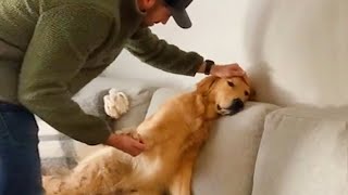 Videos De Risa De Animales 2023  10 Momentos Más Divertidos Entre Perros y Dueños del Año 😂 [upl. by Tanhya819]