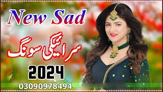 New Saraiki Song 2024  Saraiki All Singer Songs 2024 [upl. by Safire366]