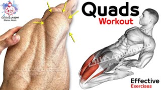 6 Easy Exercises Quadriceps Workout  Leg Day [upl. by Eziechiele]