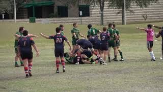 FAU Rugby Scoring Highlights vs USF  FCC 15s 1262019 [upl. by Swift]