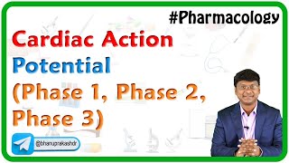 Cardiac Action Potential Phase 1 Phase 2 Phase 3 [upl. by Halli]