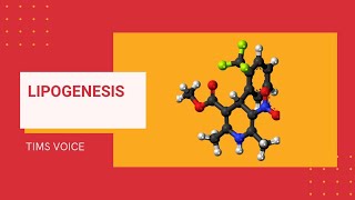 Lipogenesis Biochemistry lecture 1Module 202 [upl. by Ivel]