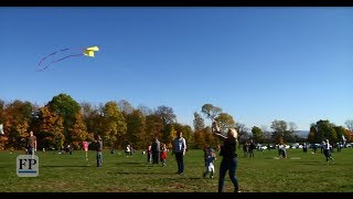 Drachenfest am Stausee Oberrabenstein [upl. by Aniuqaoj]