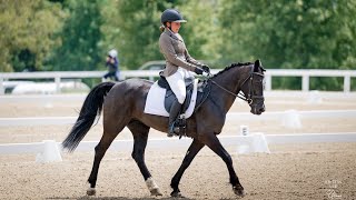 American Eventing Championships  Novice Dressage  Madison Ritsch amp Taylamor Penelope [upl. by Enilhtak]