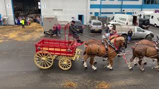 Team of 4 Heavy horse turnouts Royal Highland Show 2024 [upl. by Ljoka]