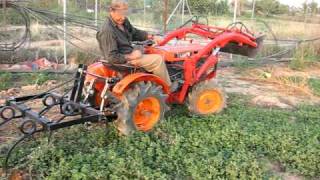 Kubota B6000D trabajando con cultivadores [upl. by Chien]