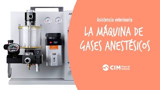 ¿Cómo funciona la máquina de gases anestésicos  CIM Formación [upl. by Ardiedak]