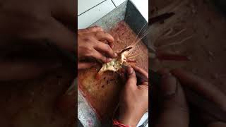 Dissection of Prawns [upl. by Angelico]