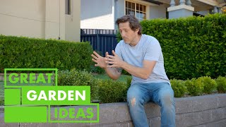 Everything to Know About Planting a Hedge  GARDEN  Great Home Ideas [upl. by Ssirk]