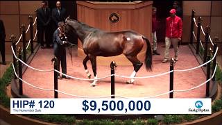 The November Sale 2017 SONGBIRD sells for 95M [upl. by Orsa]