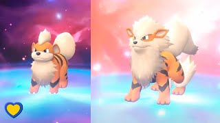 HOW TO Evolve Growlithe into Arcanine in Pokémon Lets Go Pikachu amp Eevee [upl. by Asirram]