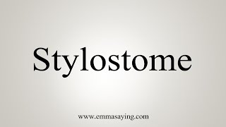 How To Say Stylostome [upl. by Areta879]