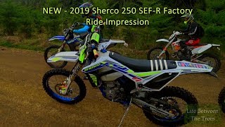 2019 SHERCO 250 SEFR FACTORY First Impression [upl. by Hesper431]