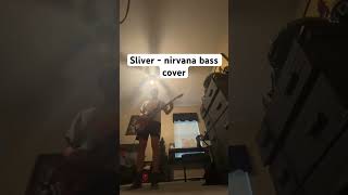 Sliver  nirvana bass cover [upl. by Ingra]