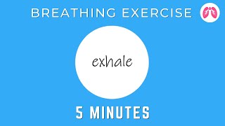 Breathing Exercises To Stop A Panic Attack Now  TAKE A DEEP BREATH [upl. by Atikehs]