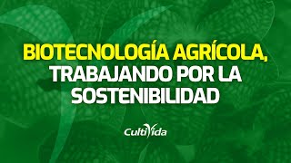 🌱BIOTECNOLOGÍA🌱 BENEFICIOS EN LA AGRICULTURA👩‍🌾👨‍🌾 [upl. by Ahtnamas]