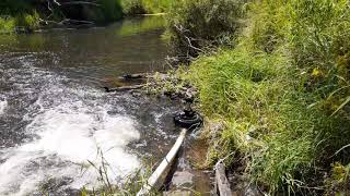 Bunyip water pump at Bellview Nth QLD Australia [upl. by Silado]