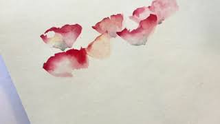 Aquarelle comment faire un coquelicot [upl. by Ligetti]